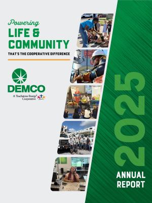 2025 annual report cover